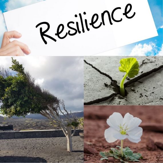Building Resiliency in Times of Crisis