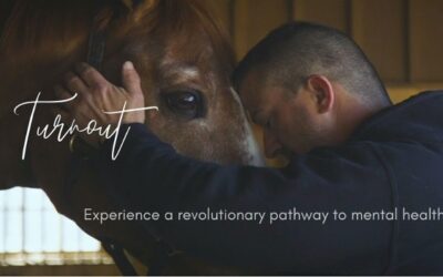 Transforming Mental Health with Horses