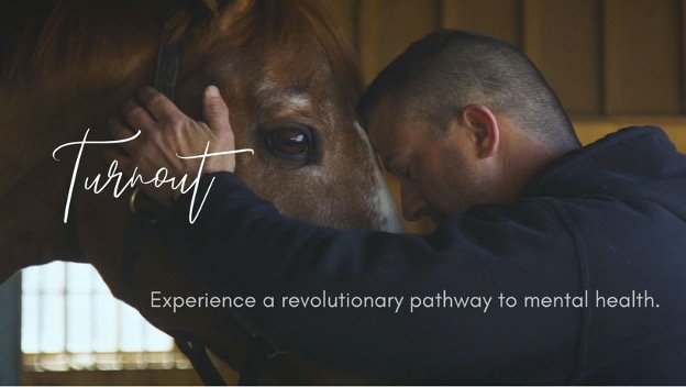 Transforming Mental Health with Horses
