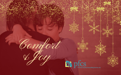 Spread Comfort & Joy This Holiday Season